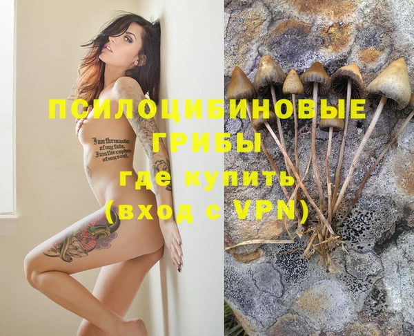 мдма Белокуриха
