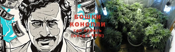 таблы Богданович