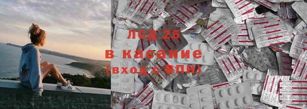 spice Богородицк
