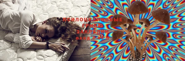 мдма Белокуриха